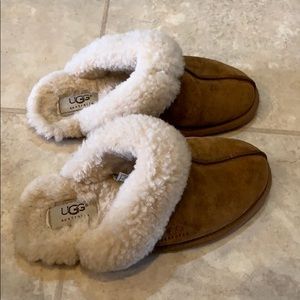 Ugg Slippers (Size 5)